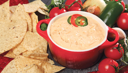 Chile Con Queso Dip Mix by Rada Cutlery